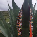 Dingo VODÍTKO CITY CHIAPAS – Hledejceny.cz