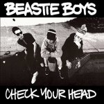 Beastie Boys - Check Your Head LP – Hledejceny.cz
