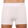 Boxerky, trenky, slipy, tanga Gina boxerky s delší nohavičkou bezešvé jednobarevné Eco Bamboo 54005P