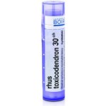RHUS TOXICODENDRON POR 30CH GRA 4G – Hledejceny.cz