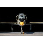 Let stíhačkou L-39 Albatros – Hledejceny.cz