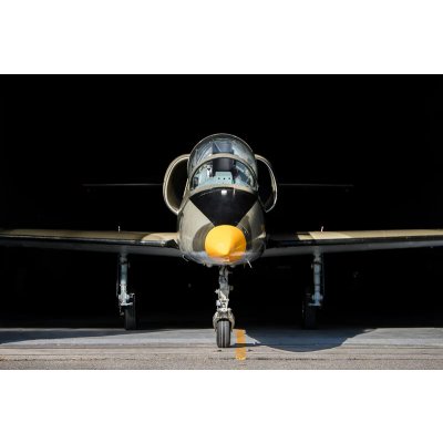 Let stíhačkou L-39 Albatros – Hledejceny.cz