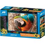 PRIME 3D PUZZLE Papoušek 48 ks – Hledejceny.cz