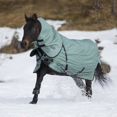 BUSSE Deka výběhová Flexible Pro bez krku silver pine black – Zbozi.Blesk.cz