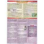 Tabulky rozvoje dítěte 0-3 rok tabulka A4 MC Brno – – Zboží Mobilmania