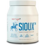 Barny's Sioux Ultra-C Imuno Complex 30 kapslí 600 g – Hledejceny.cz