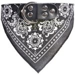 Surtep Animals Obojek pro psa se šátkem – Hledejceny.cz