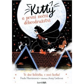 Kitty a první noční dobrodružství - Paula Harrison