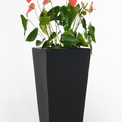 Vivanno samozavlažovací květináč CLASSIC 70, sklolaminát, výška 70 cm, antracit