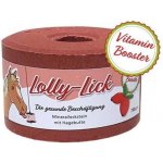 S.I.N. Hellas Lízátko pro koně Lolly Lick Imunita šípek 0,75 kg – Zboží Dáma