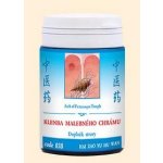 TCM Herbs Klenba malebného chrámu 100 tablet – Hledejceny.cz