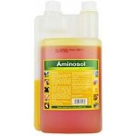 Trouw Nutrition Aminosol sol 1000 ml – Hledejceny.cz