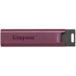Kingston DataTraveler Max 256GB DTMAXA/256GB – Zboží Mobilmania