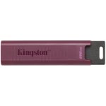 Kingston DataTraveler Max 256GB DTMAXA/256GB – Sleviste.cz