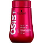 Schwarzkopf Osis Session Label Dust it flex 10 g – Hledejceny.cz