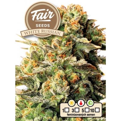 Fair Seeds White Russian semena neobsahují THC 10 ks – Zboží Dáma