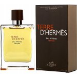 Hermès Terre D'Hermès Eau Intense Vetiver parfémovaná voda pánská 200 ml – Hledejceny.cz