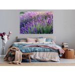 Nalepte.cz samolepka na zeď Levandule , rozměry 100 x 67 cm – Zboží Dáma