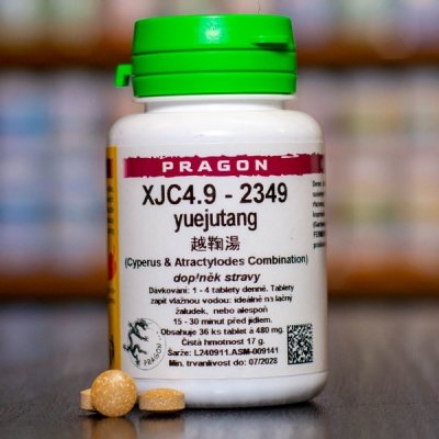Pragon XJC4.9 - 2349 36 tablet – Hledejceny.cz