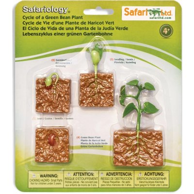 SAFARI Životní cyklus Zelená fazole – Hledejceny.cz