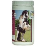 Hippovit H HoofCoat 10 kg – Hledejceny.cz