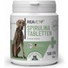 Vitamíny pro psa Reavet Spirulina v tabletách 500 ks
