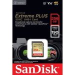 SanDisk SDXC UHS-I U3 256 GB SDSDXWV-256G-GNCIN – Zboží Živě