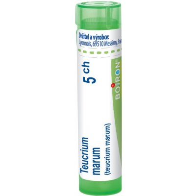 TEUCRIUM MARUM POR 5CH GRA 1X4G – Hledejceny.cz