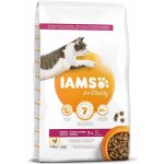 Iams for Vitality Cat Senior Chicken 10 kg – Hledejceny.cz