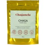 Chaganela Čaga extrakt 100 g – Hledejceny.cz