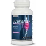 NástrojeZdraví Boswelagen 60 kapslí – Hledejceny.cz