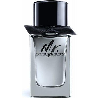 Burberry Mr. Burberry toaletní voda pánská 100 ml tester – Hledejceny.cz