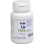 Joalis UrHerb UrinoHelp Bylinné kapsle 100 kapslí – Hledejceny.cz