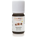 Hanus Esence Badyán silice 10 ml – Hledejceny.cz
