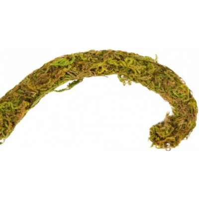 Repti Zoo liana s přírodním mechem 2 cm x 2 m – Sleviste.cz