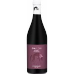 Di Camillo Simbiosi Merlot Biologico 13,5% 0,75 l (holá láhev) – Hledejceny.cz