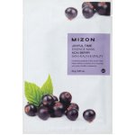 Mizon plátýnková 3D maska s Acai Berry pro zdravou pleť a vitalitu Joyful Time Essence Mask Acai Berry 23 g – Zboží Dáma