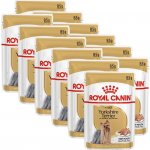 Royal Canin Yorkshire Adult 12 x 85 g – Zboží Mobilmania