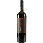 Bosco Primitivo Di Manduria "GLADIO" DOC 2020 16% 0,75 l (holá láhev) – Hledejceny.cz