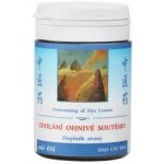 TCM Herbs Zdolání ohnivé soutěsky 100 tablet – Hledejceny.cz