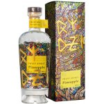 Raspenava Ananasovice 48% 0,5 l (holá láhev) – Zboží Dáma