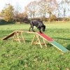 Hračka pro psa Dog Activity AGILITY nácviková lávka 456x64x30 cm