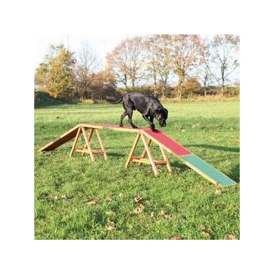 Dog Activity AGILITY nácviková lávka 456x64x30 cm – Zboží Mobilmania