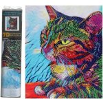 Norimpex Diamantové malování Upřený pohled 30 x 40 cm – Hledejceny.cz