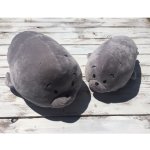 Sleep-well polštář Tuleň šedý 35 – Zboží Dáma