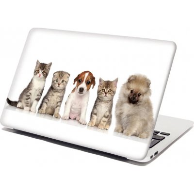 Sablio Samolepka na notebook Mláďátka - 38x26 cm – Zboží Živě