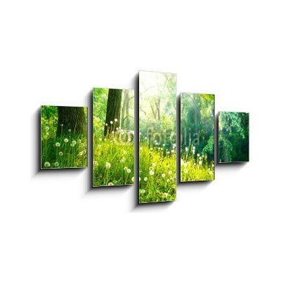 Obraz 5D pětidílný - 125 x 70 cm - Spring Nature. Beautiful Landscape. Green Grass and Trees Jarní příroda. Krásná krajina. Zelená tráva a stromy – Hledejceny.cz
