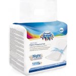 Canpol Babies Poporodní vložky noční ultra absorbent 10 ks – Zboží Dáma