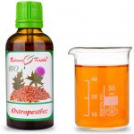 Bylinné kapky BIO Ostropestřec BIO tinktura 50 ml – Hledejceny.cz