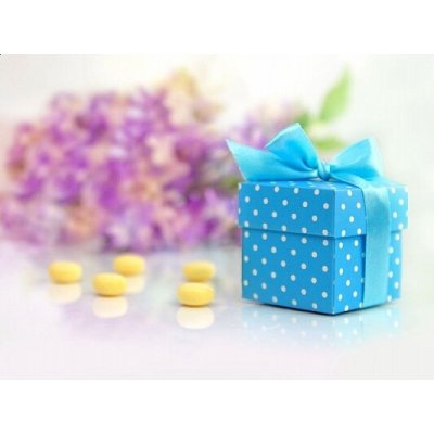 PartyDeco PartyDeco Krabičky puntíkované - modré s mašličkou 10 ks – Zboží Dáma